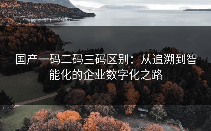 国产一码二码三码区别：从追溯到智能化的企业数字化之路